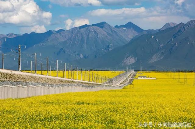 2018 �°�����������ʱ�����һ��Ҫ�պã�-32.jpg