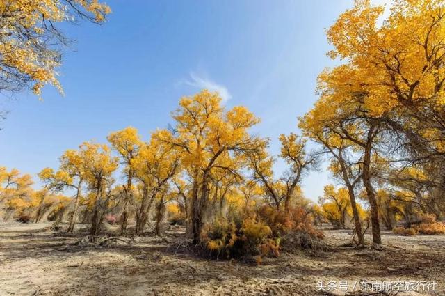 2018 �°�����������ʱ�����һ��Ҫ�պã�-42.jpg