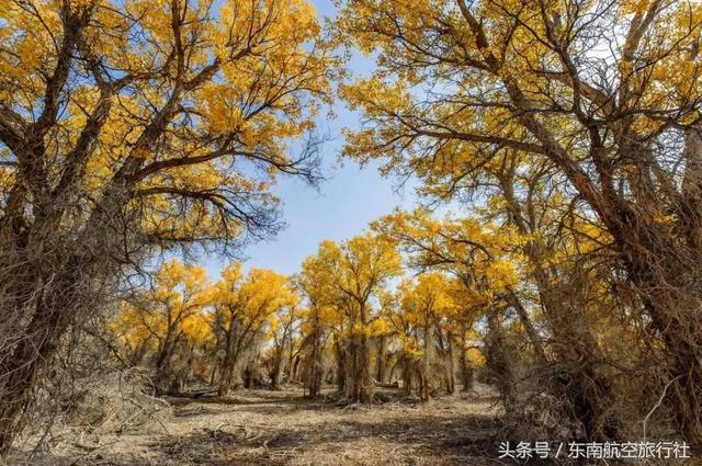 2018 �°�����������ʱ�����һ��Ҫ�պã�-43.jpg