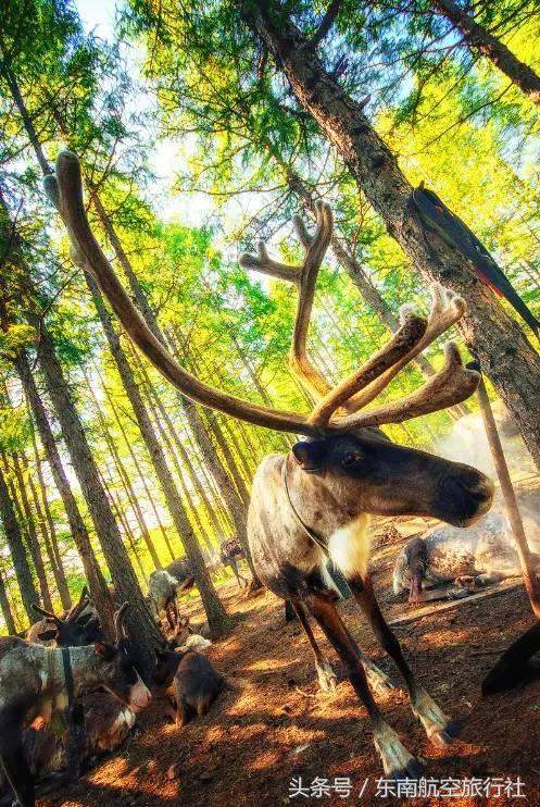 2018 �°�����������ʱ�����һ��Ҫ�պã�-46.jpg