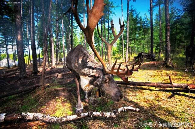 2018 �°�����������ʱ�����һ��Ҫ�պã�-47.jpg