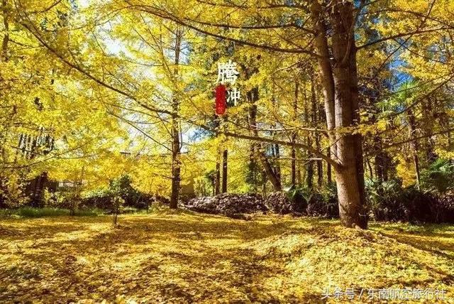 2018 �°�����������ʱ�����һ��Ҫ�պã�-77.jpg