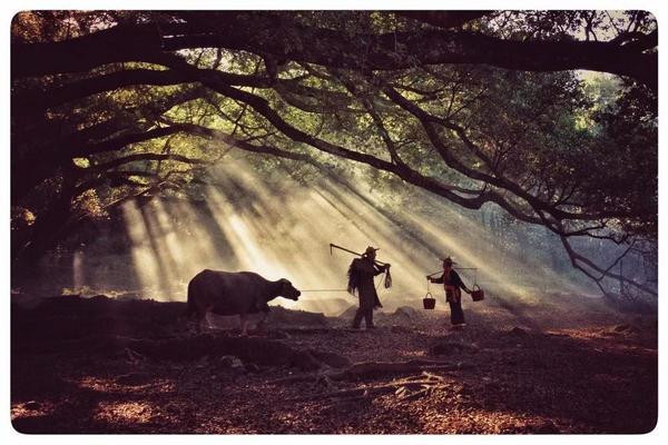 ��Ӱ̲Ϳ ϼ����ɫ ������Ӱ�ɷ紴��֮��-4.jpg