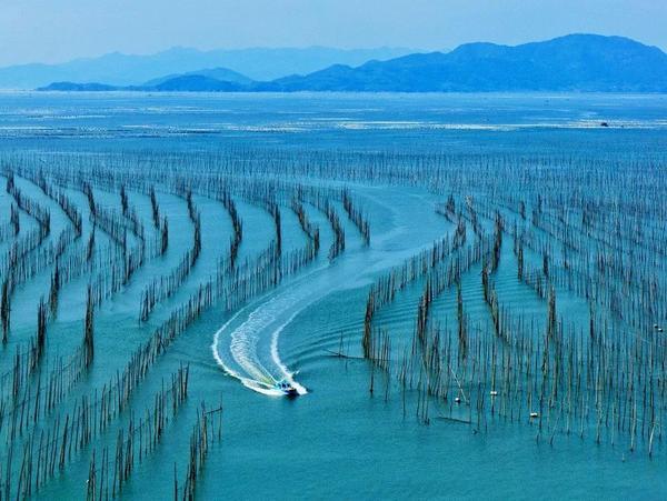 ��Ӱ̲Ϳ ϼ����ɫ ������Ӱ�ɷ紴��֮��-5.jpg