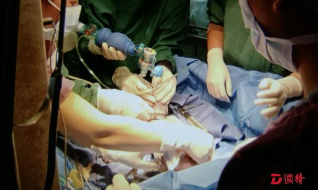 ���Ķ��ǣ��и����������� �������ȳ���Ӥ-3.jpg