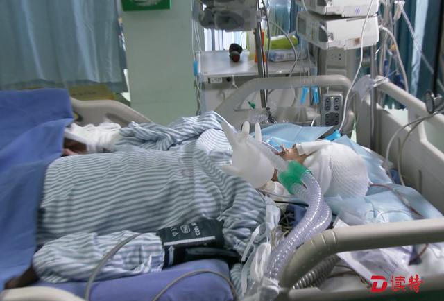 ���Ķ��ǣ��и����������� �������ȳ���Ӥ-2.jpg