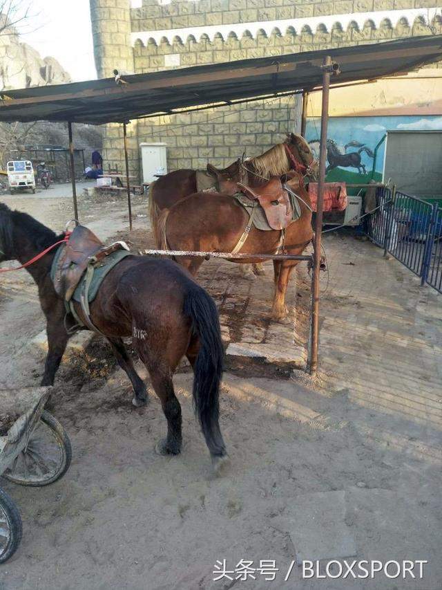 BLOX ������-ԲУ԰ʱ��Golf�� ���ڸ߶����װ֮·��-9.jpg