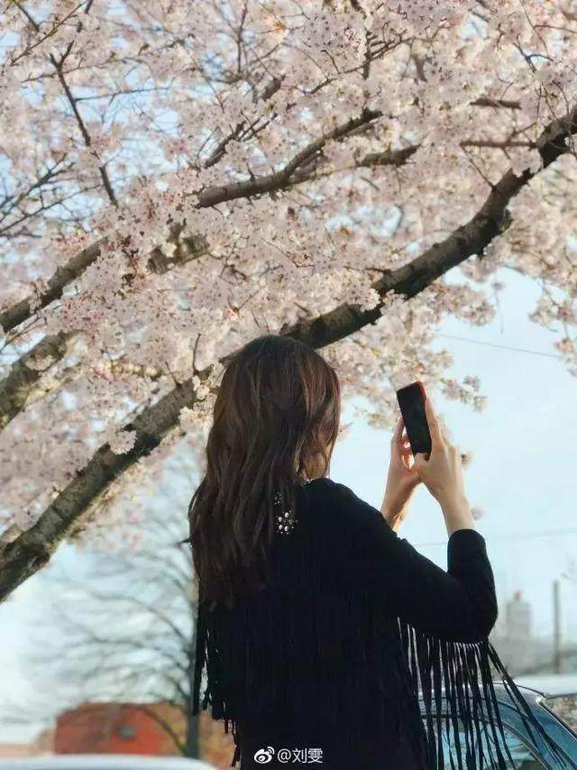 ��һ���θ���ο��� ����ѧ����6�� �������������ĳ��߱Ƹ���Ƭ-17.jpg