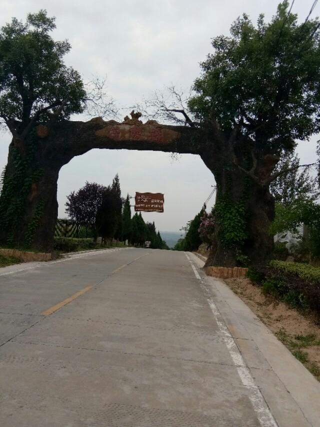 ҵй¨DD̽Ѱ-15.jpg