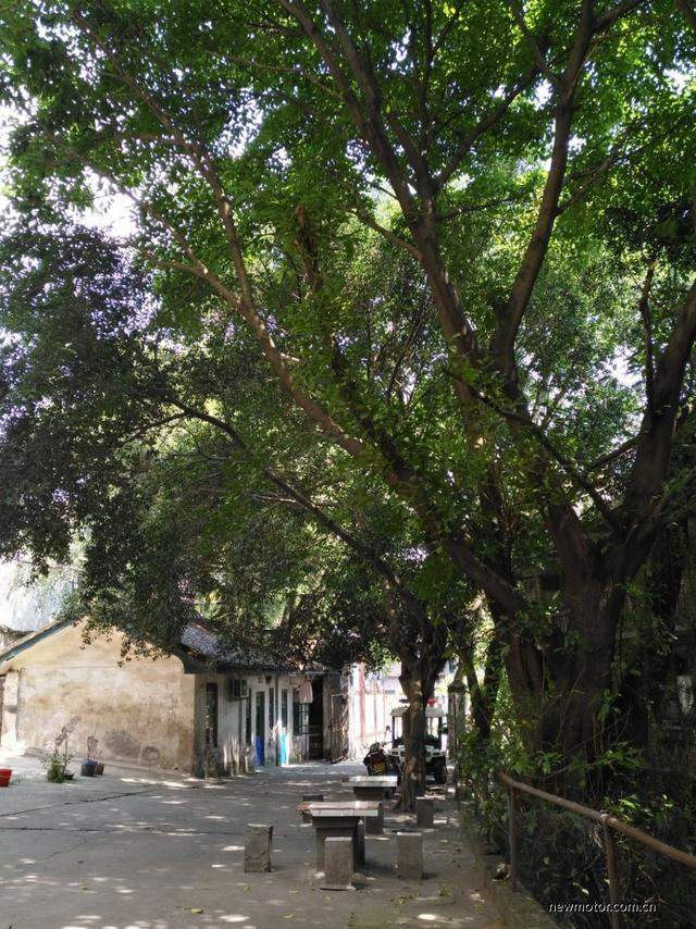 ����ɽ�� ����310�����о�ʱ��-8.jpg