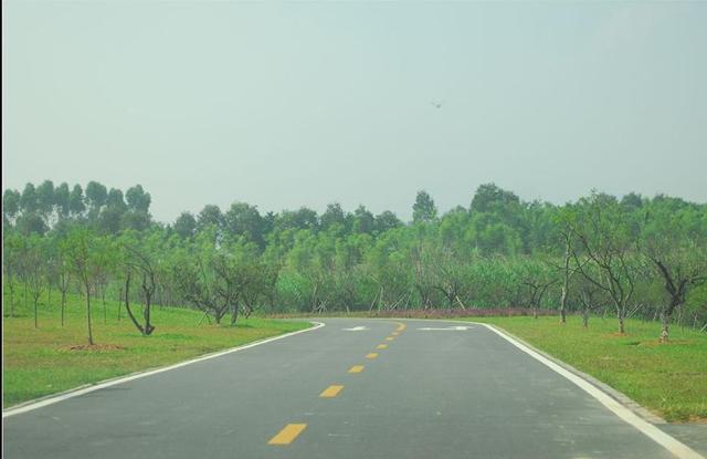 �ڶ�ݸ���ʺ����еĵط�����ɽ�������� ��������һȦ���ӵĸ���-1.jpg