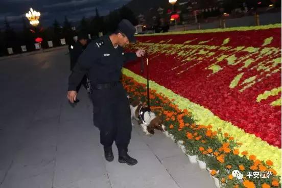 ���쳤�� ���������N��˲��-12.jpg