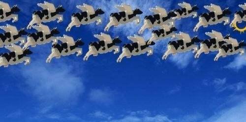 ����ʥ������������·�������� ������������ٿ�ʼ�ռ���ս��-36.jpg