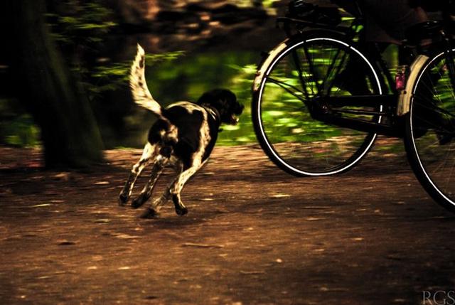 ����ʥ������������·�������� ������������ٿ�ʼ�ռ���ս��-34.jpg