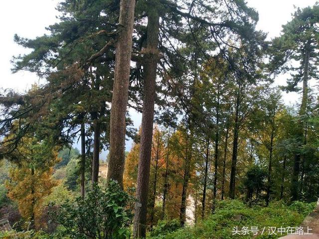 �ž����� �������ϵ���ʥ�بD�D������-31.jpg