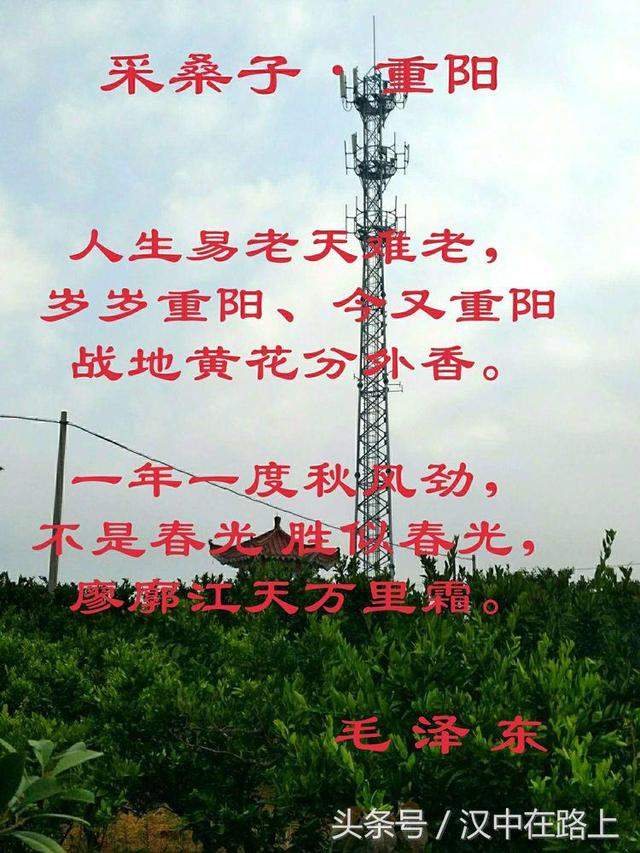 �ž����� �������ϵ���ʥ�بD�D������-36.jpg