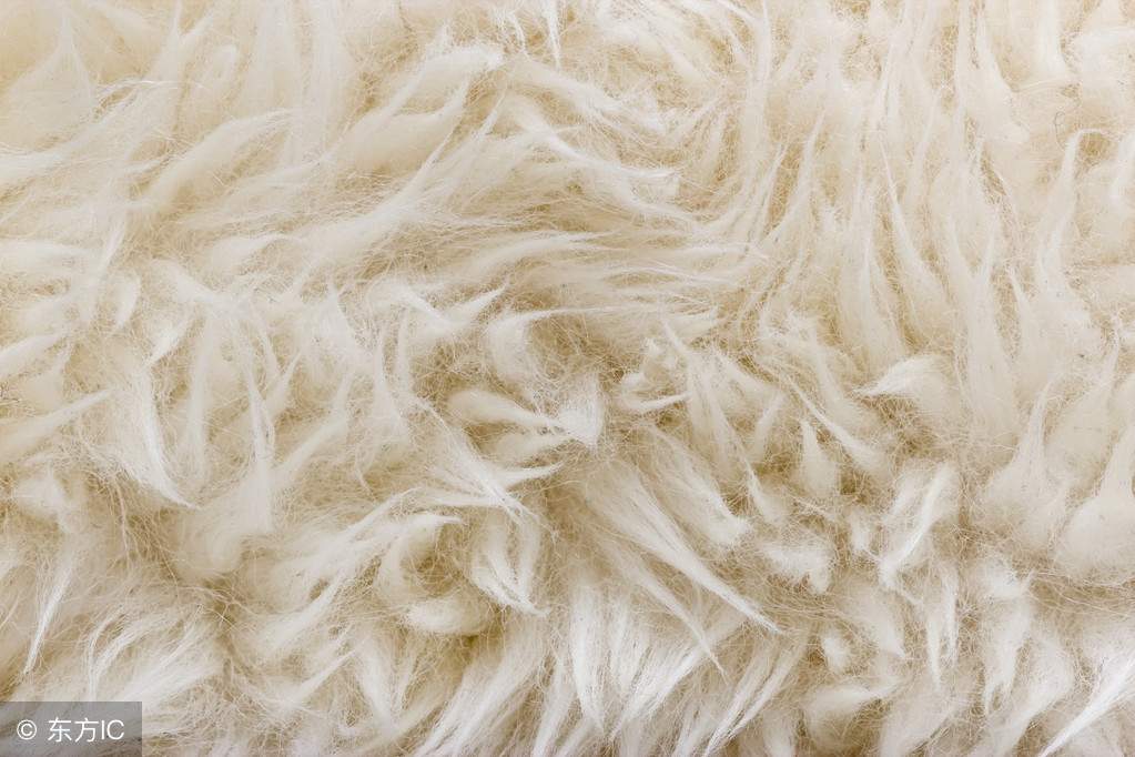 ʮز Щز زа ز-7.jpg