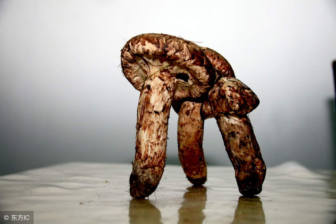 ʮز Щز زа ز-9.jpg