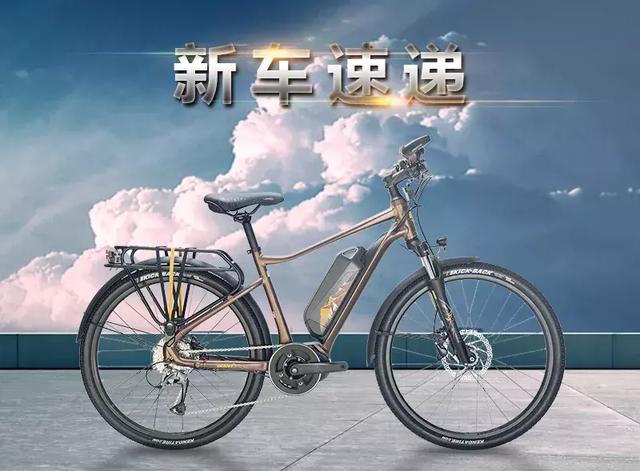 һ�����г��ļ�飺GIANT Expedition E+ʢװ����-1.jpg