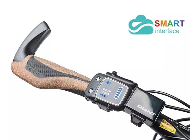 һ�����г��ļ�飺GIANT Expedition E+ʢװ����-9.jpg