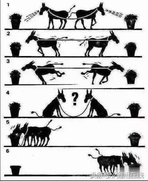 ������Ƭ ��������-5.jpg