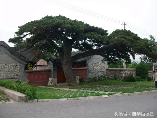 ���߻������� ����������·����-2.jpg