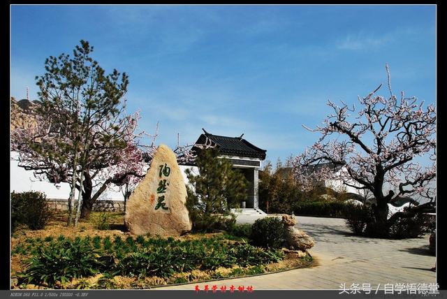 ���߻������� ����������·����-5.jpg