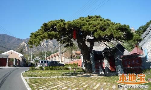 ���߻������� ����������·����-4.jpg