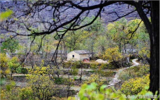 ���߻������� ����������·����-20.jpg