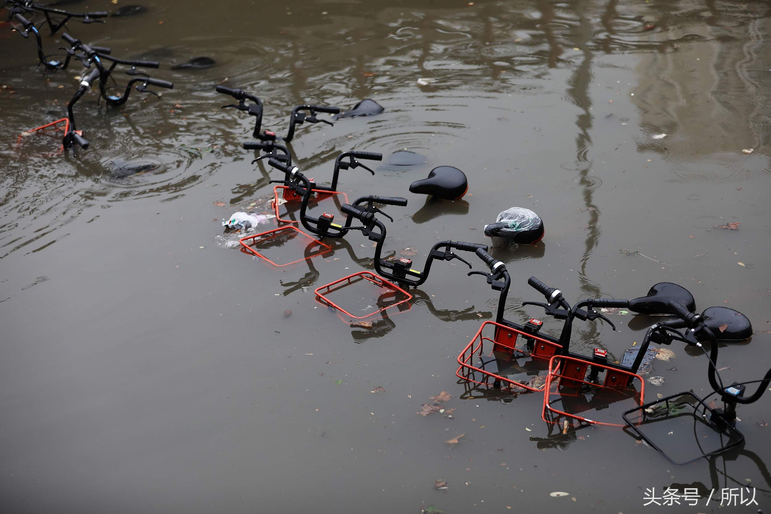 һ������� ����Ĺ�������ȫ������-3.jpg