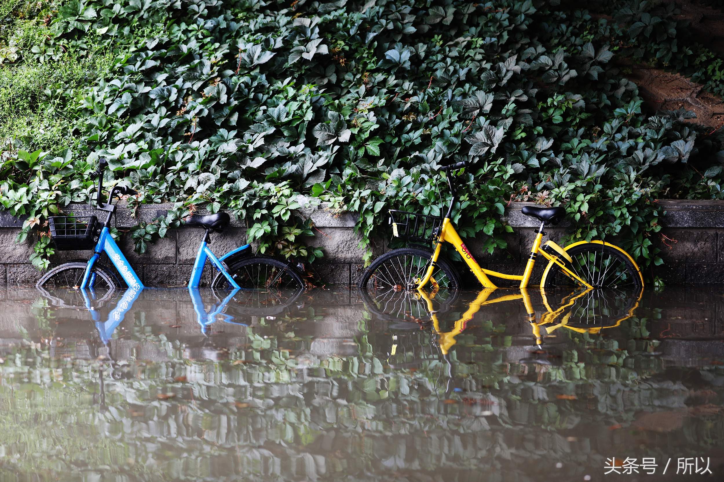 һ������� ����Ĺ�������ȫ������-5.jpg