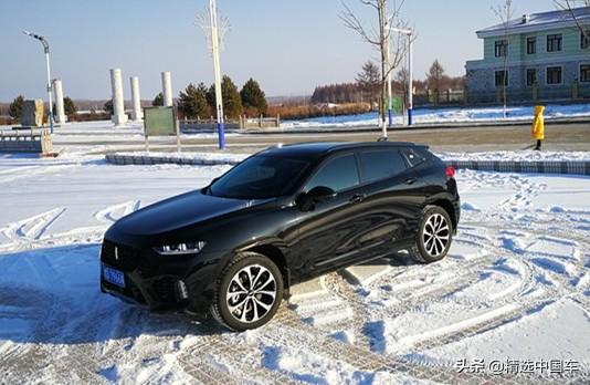 WEY VV7��װ���ʽ��̥�������Զ������˷���-1.jpg