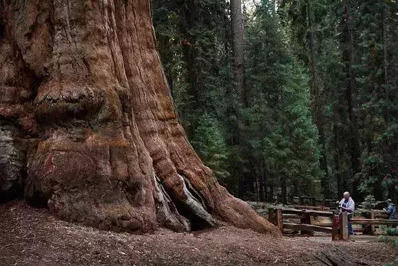 �ɶ���Ӱ��ѵ ��ԴӰ�����25�ž�������Ȼ�����Ӱ����-7.jpg