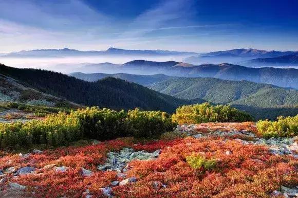 �ɶ���Ӱ��ѵ ��ԴӰ�����25�ž�������Ȼ�����Ӱ����-13.jpg