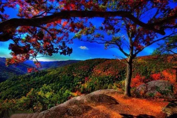 �ɶ���Ӱ��ѵ ��ԴӰ�����25�ž�������Ȼ�����Ӱ����-11.jpg