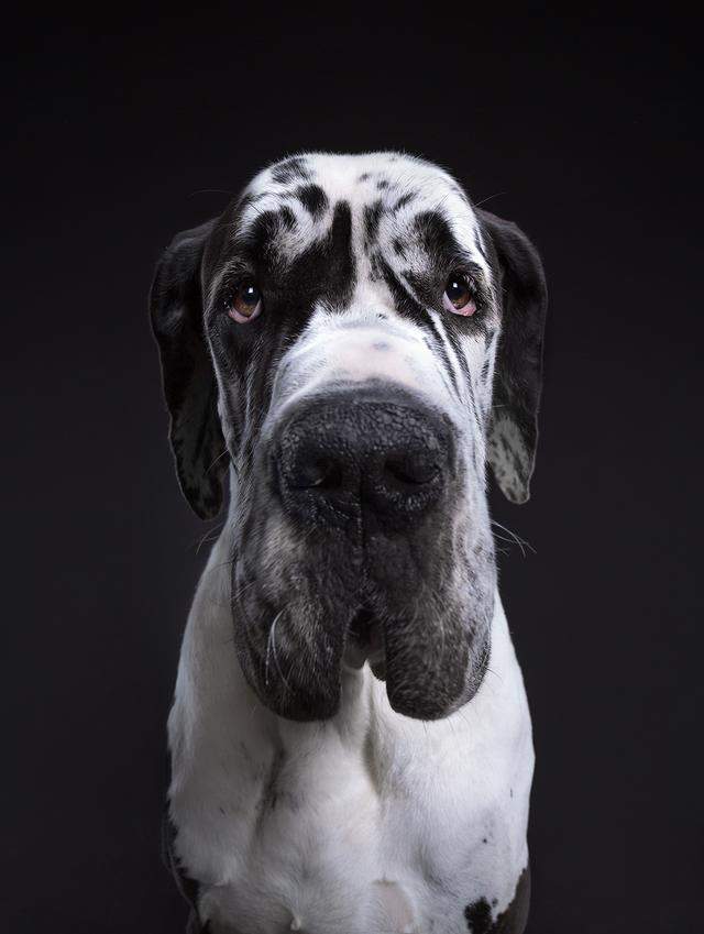 ��Ӱ��Alexander Khokhlov������˹����-3.jpg