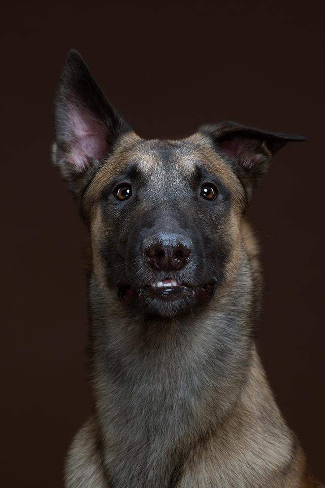 ��Ӱ��Alexander Khokhlov������˹����-7.jpg