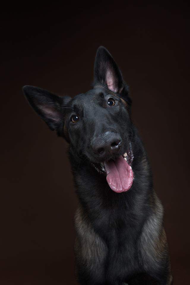 ��Ӱ��Alexander Khokhlov������˹����-10.jpg