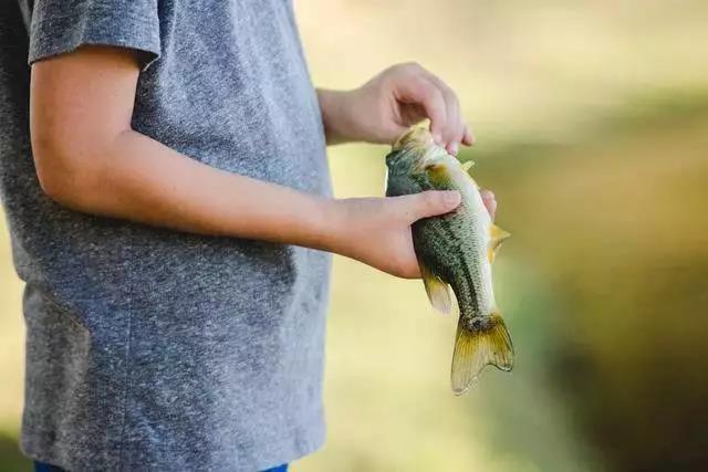 ��Ӱ�̳� Ϊʲô������Ȧ����Ƭ������Щƽ������-1.jpg