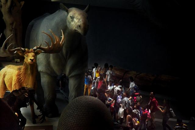 �ղ��ˣ������ʾ��� Բ�θ��ء���Ӱ��������Ʒ����-14.jpg