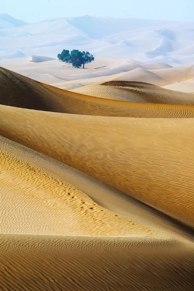 ѧ����9�з����Ӱ��������һ�� ������ָ�տɴ�-14.jpg