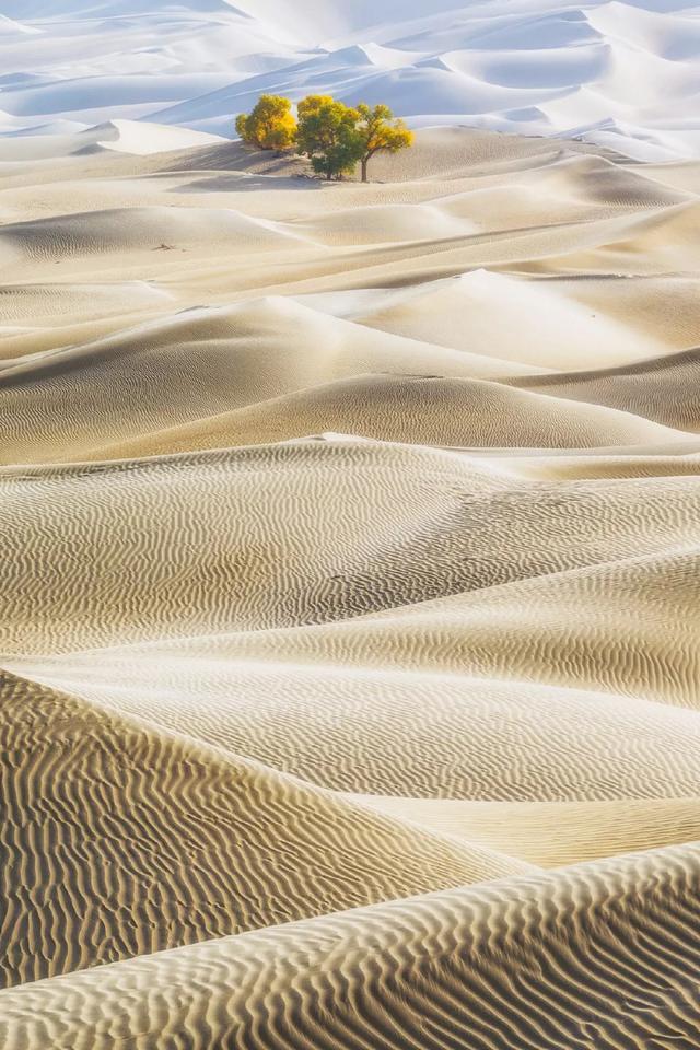 ѧ����9�з����Ӱ��������һ�� ������ָ�տɴ�-13.jpg