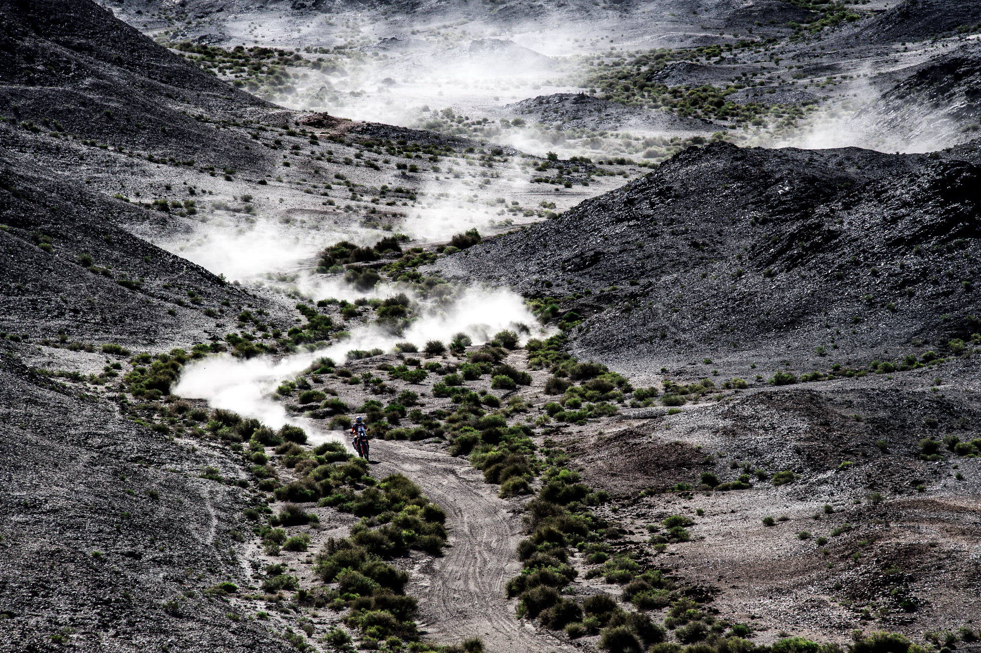 2019 ˿��֮·��������ɣ�������-31.jpg