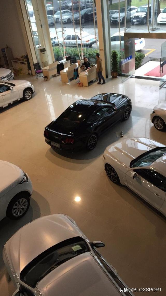 BLOX ������-�����ĵĺ������ɼǣ�����Ұ����װȫ��¼-1.jpg