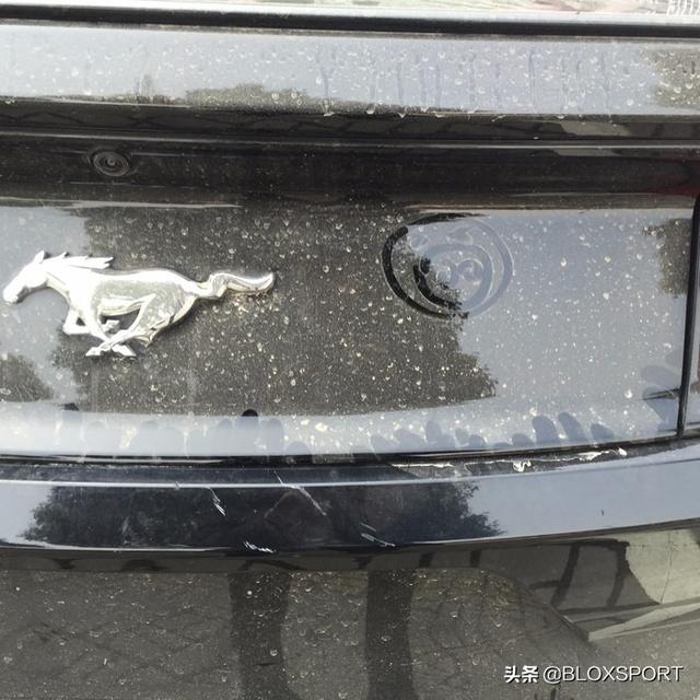 BLOX ������-�����ĵĺ������ɼǣ�����Ұ����װȫ��¼-5.jpg