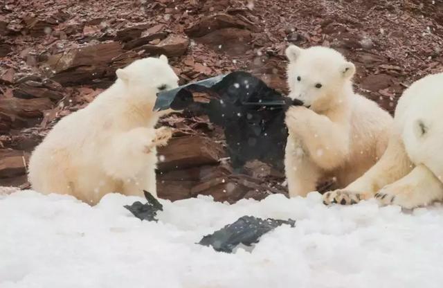 ��Щ��Ƭ��ÿһ�Ŷ������� ���������˹����-14.jpg