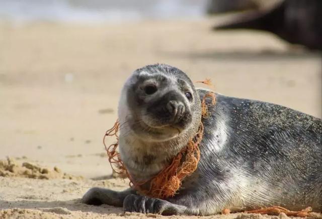 ��Щ��Ƭ��ÿһ�Ŷ������� ���������˹����-11.jpg