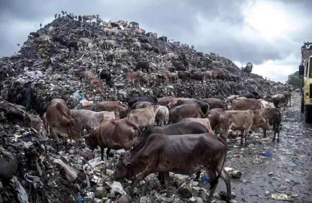 ��Щ��Ƭ��ÿһ�Ŷ������� ���������˹����-16.jpg