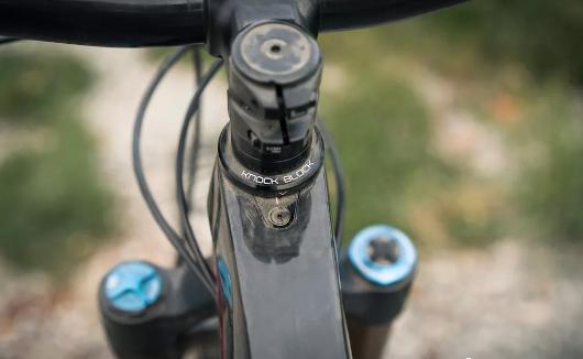 ����ȫ�����������������2020 Trek Fuel EX����-8.jpg