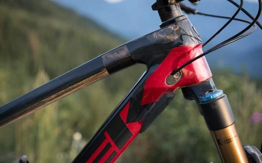 ����ȫ�����������������2020 Trek Fuel EX����-12.jpg